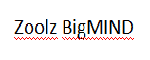 Zoolz BigMIND Coupon Codes