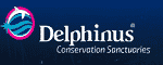 Delphinusworld Coupon Codes