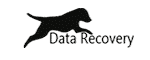 Dog Data Recovery Coupon Codes
