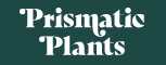 Prismatic Plants Coupon Codes