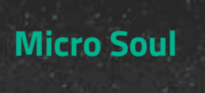 Micro Soul Coupon Codes