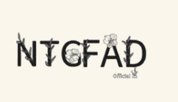 NTG Fad Coupon Codes