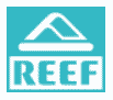 Reef Coupon Codes