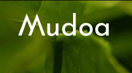 Mudoa Coupon Codes