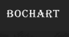 Bochart Coupon Codes